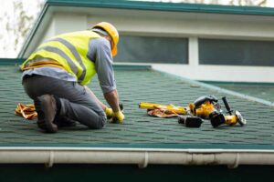 Seasonal Roof Care