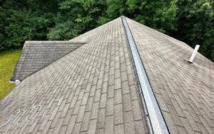 Pre-Purchase Roof Check