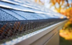 Gutter Guards Pest Control: Protect Your Columbus Home