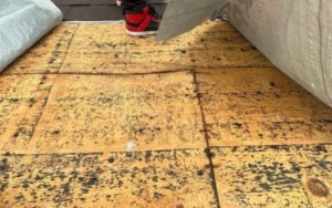 Re-Roofing vs Replacement