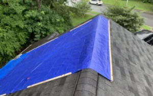 Emergency Roof Tarp