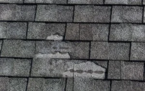 Roof Replacement Signs