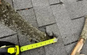 Delayed Roof Repair