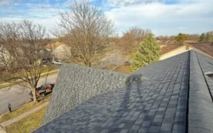 Seasonal Roof Check