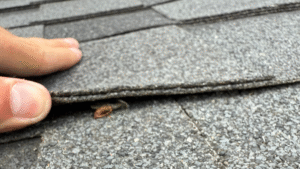 material-specific roof check