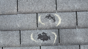 emergency roof kit