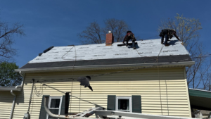 emergency roof repair for specific materials