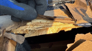 professional roof inspection