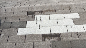 shingle granule loss ohio showing granules collecting in gutters and worn asphalt shingles on residential roof