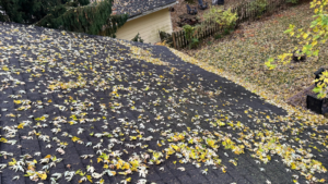 Skipping roof inspection risks shown by leaves buildup and hidden shingle damage on residential roof